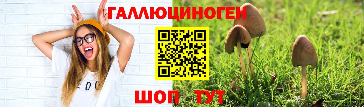 Псилоцибиновые грибы Magic Shrooms Елец